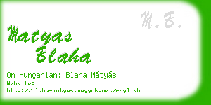 matyas blaha business card